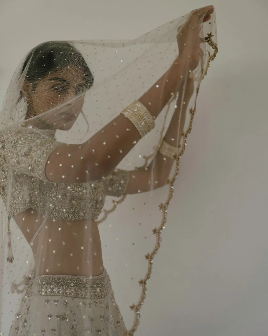 Booti & Jaal Panel Tissue Lehenga