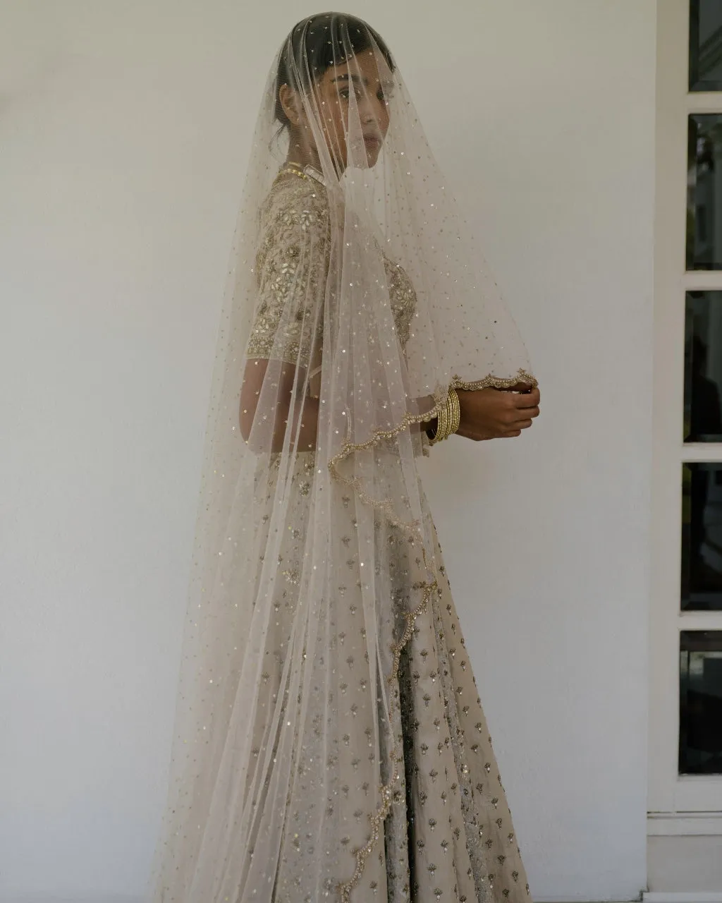 Booti & Jaal Panel Tissue Lehenga