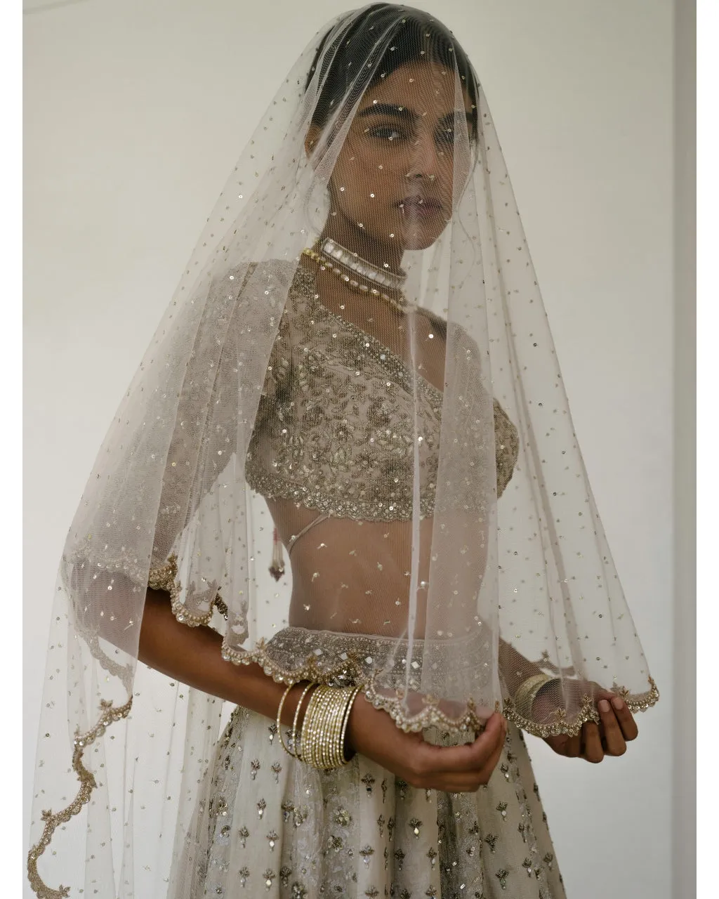 Booti & Jaal Panel Tissue Lehenga
