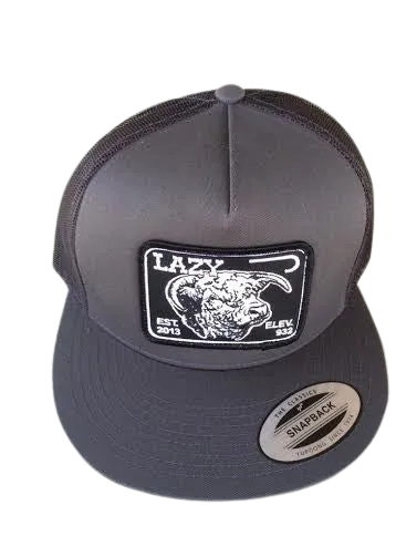 Lazy J Ranch Wear Grey Elevation Hereford Patch Hat